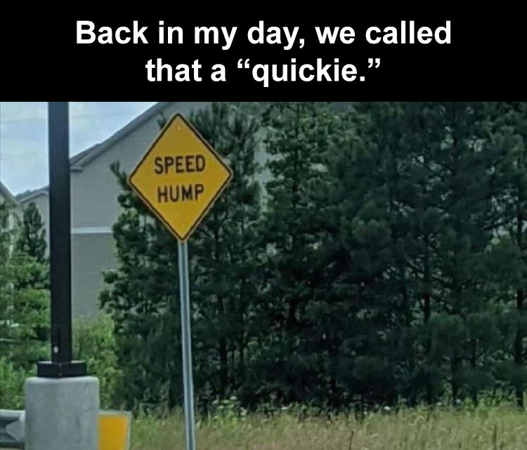 tree - Back in my day, we called that a "quickie. Speed Hump