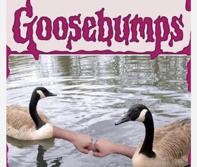 goosebumps meme - Goosebumps