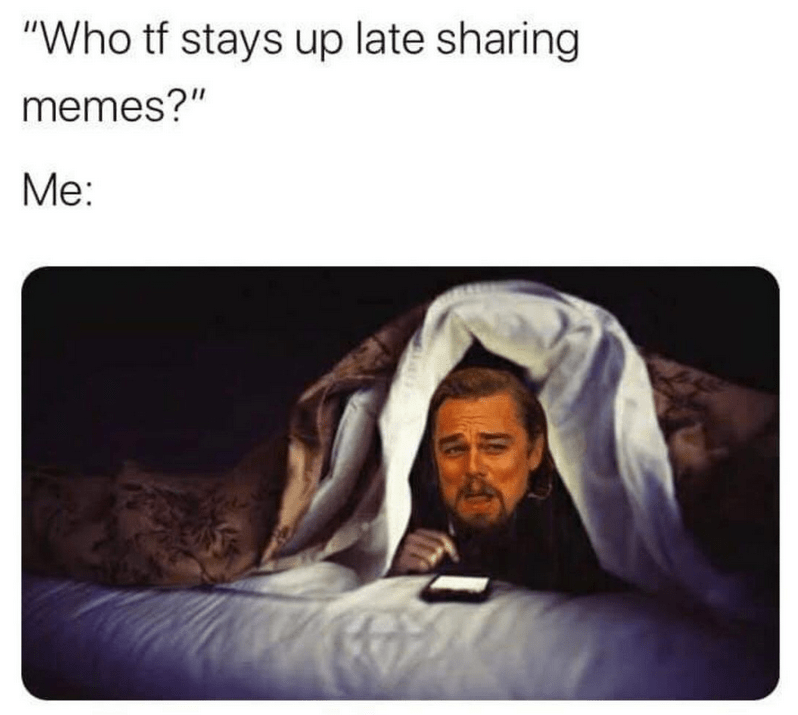leonardo dicaprio stay up late meme - "Who tf stays up late sharing memes?" Me