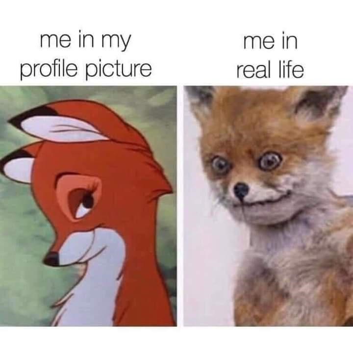 funny memes - me in my profile picture me in real life
