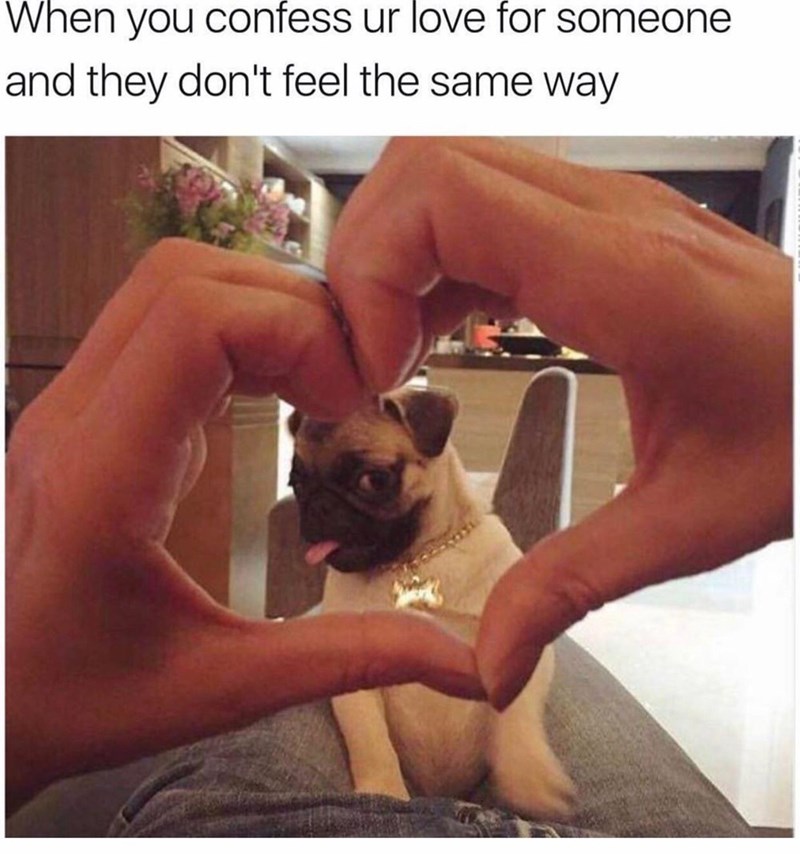 ugly pugs memes - When you confess ur love for someone and they don't feel the same way