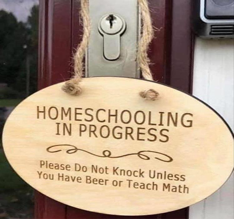 wood - Homeschooling In Progress Please Do Not Knock Unless You Have Beer or Teach Math