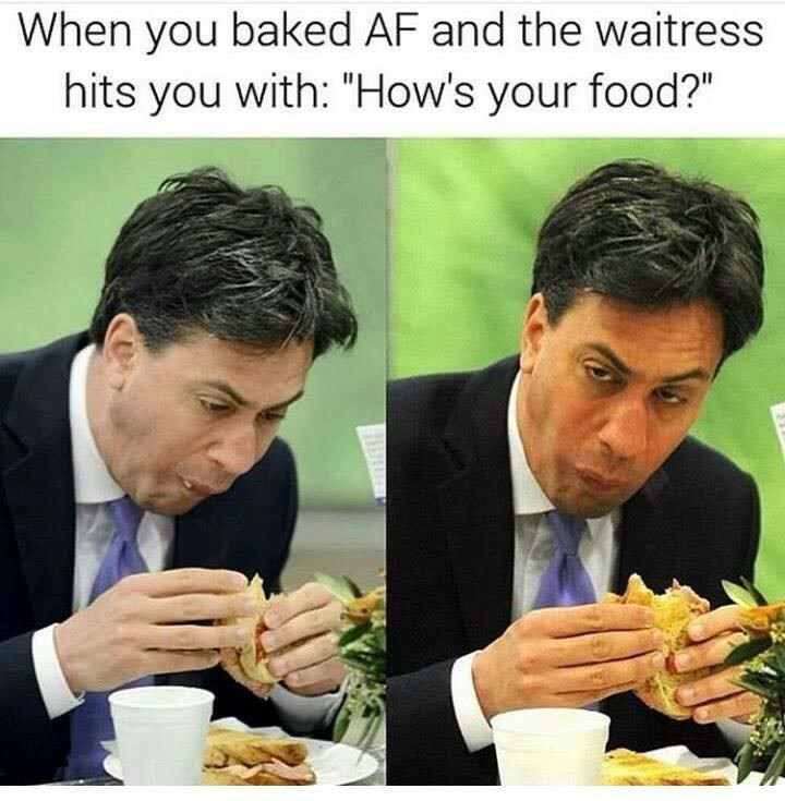 funny pictures -  ed miliband sandwich - When you baked Af and the waitress hits you with