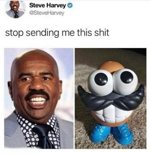 funny pictures -  steve harvey stop sending - Steve Harvey Harvey stop sending me this shit