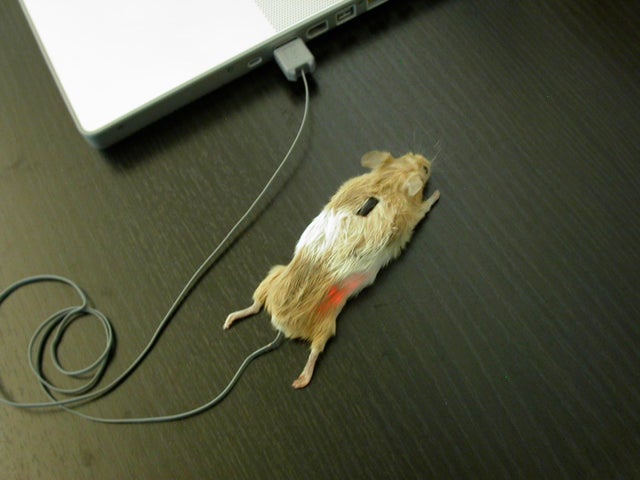 real computer mouse - O