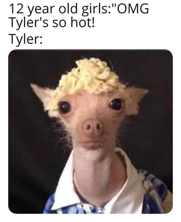 omg tyler is so hot tyler - 12 year old girls"Omg Tyler's so hot! Tyler
