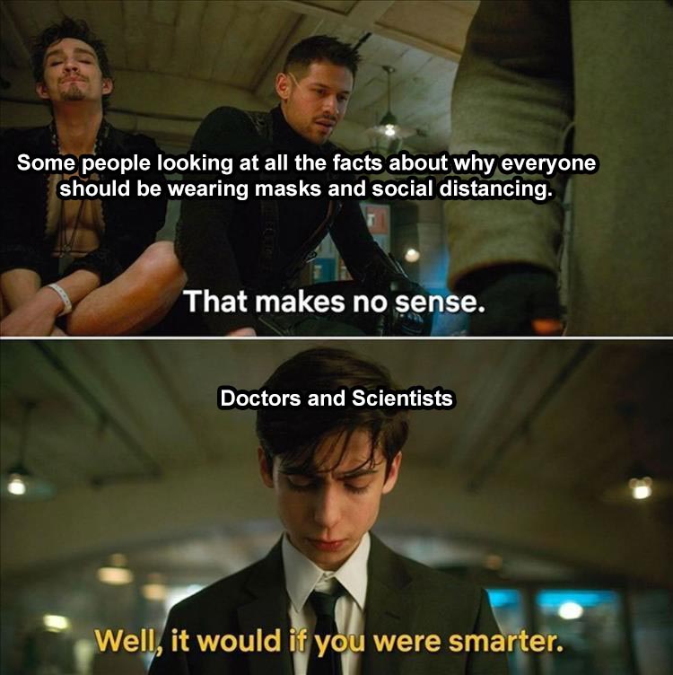 well it would if you were smarter meme template - Some people looking at all the facts about why everyone should be wearing masks and social distancing. That makes no sense. Doctors and Scientists Well, it would if you were smarter.