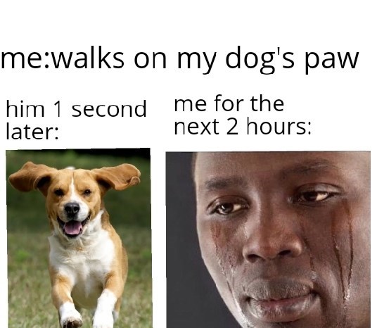 animal lover meme - mewalks on my dog's paw him 1 second me for the later next 2 hours
