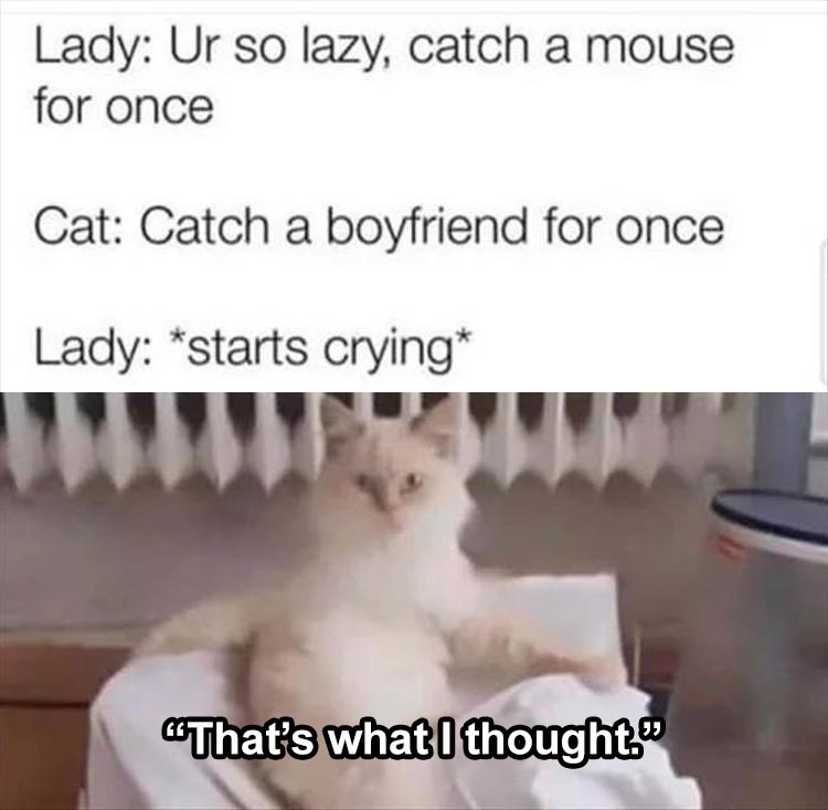 thats what i thought margaret cat meme - Lady Ur so lazy, catch a mouse for once Cat Catch a boyfriend for once Lady starts crying That's what I thought.
