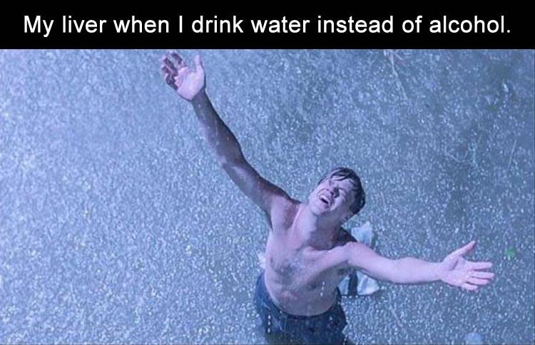 shawshank redemption escape - My liver when I drink water instead of alcohol.