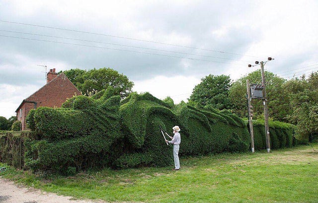 hedge funny