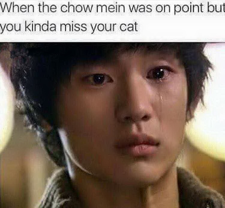 sam dong - When the chow mein was on point but you kinda miss your cat