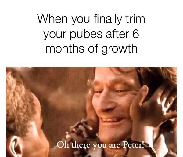 there you are peter meme - When you finally trim your pubes after 6 months of growth Oh there you are Peter!
