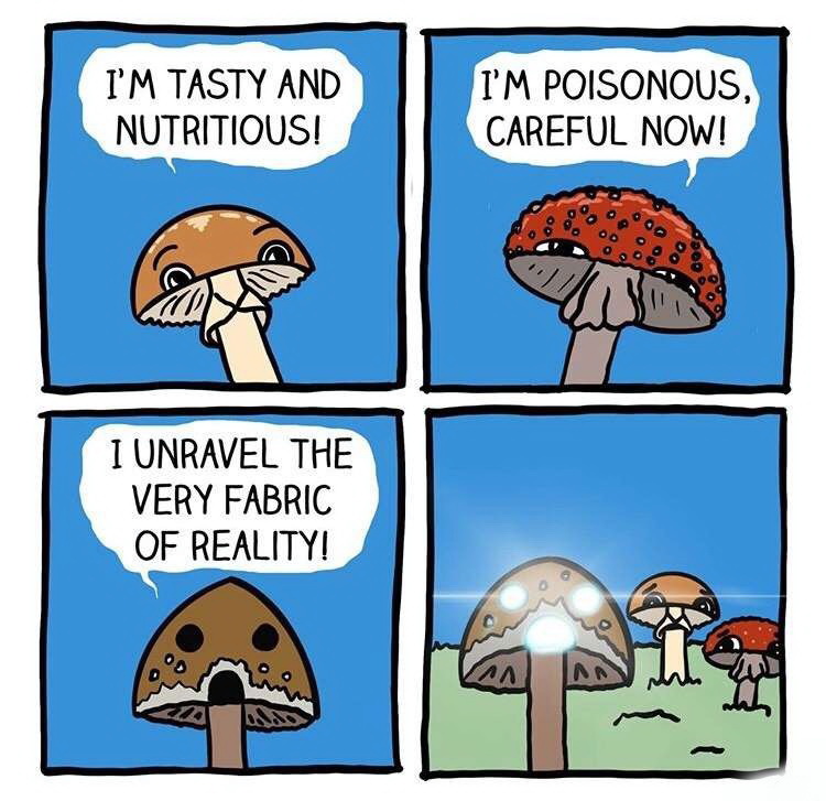 mushroom meme - I'M Tasty And Nutritious! I'M Poisonous, Careful Now! I Unravel The Very Fabric Of Reality! 1 An