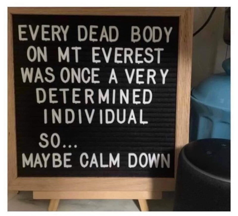signage - Every Dead Body On Mt Everest Was Once A Very Determined Individual So... May Be Calm Down