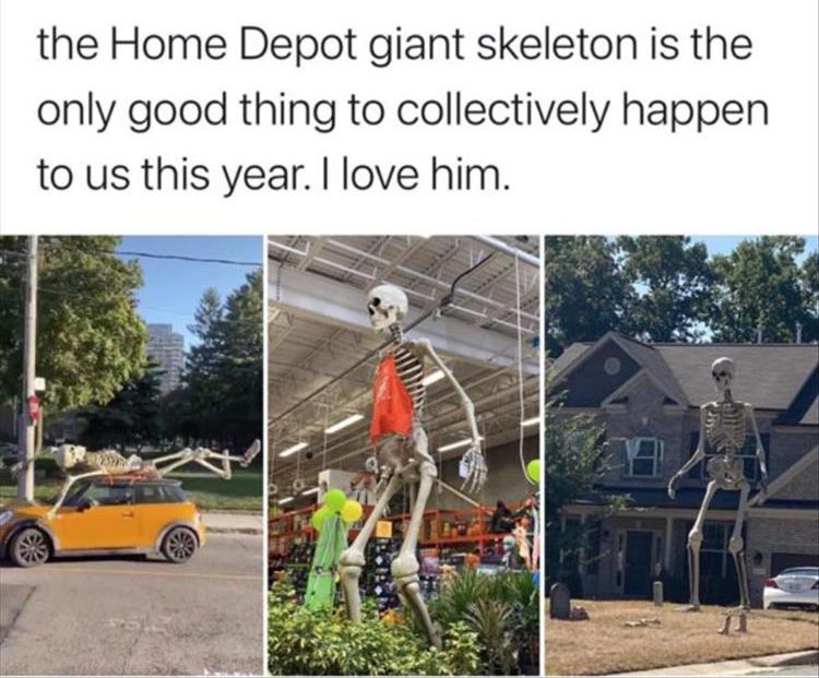 tree - the Home Depot giant skeleton is the only good thing to collectively happen to us this year. I love him.