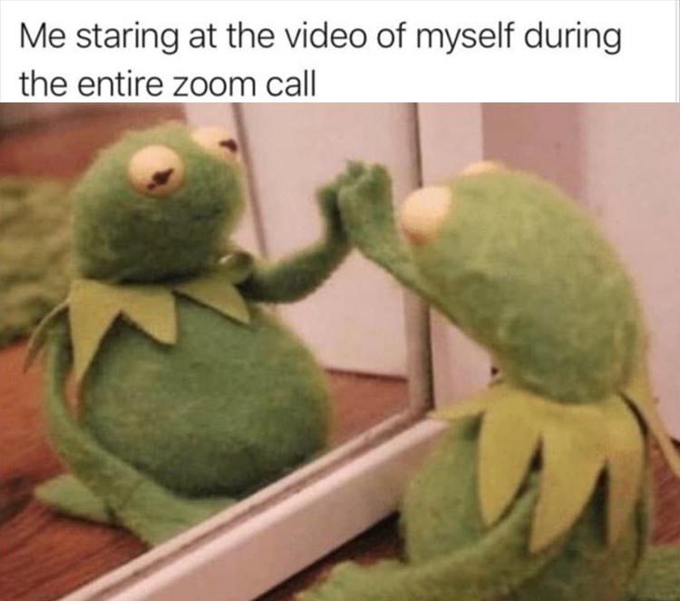 staring in mirror meme - Me staring at the video of myself during the entire zoom call