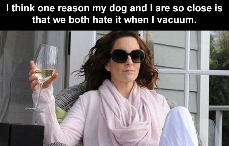 tina fey memes - I think one reason my dog and I are so close is that we both hate it when I vacuum.