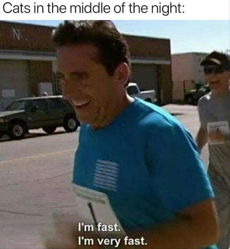 kim jong un surgeon memes - Cats in the middle of the night I'm fast. I'm very fast.