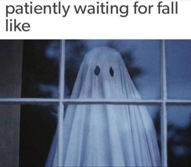 halloween memes - patiently waiting for fall
