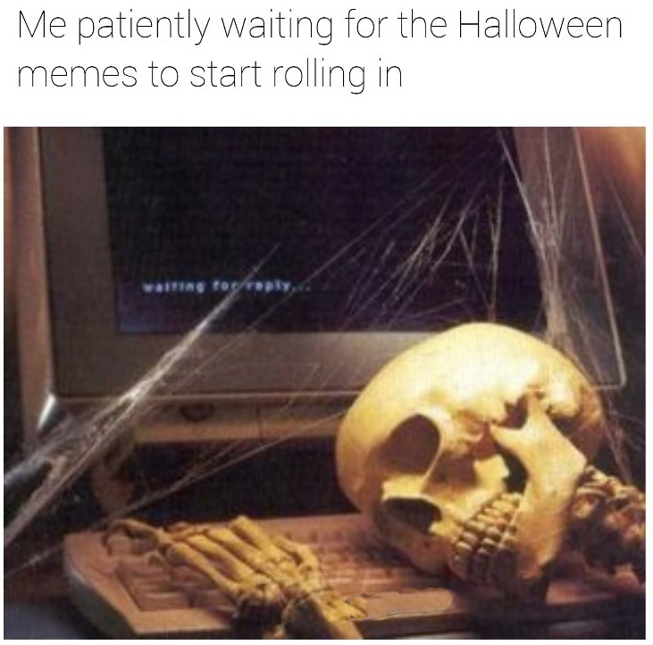 still waiting - Me patiently waiting for the Halloween memes to start rolling in Falling to repl