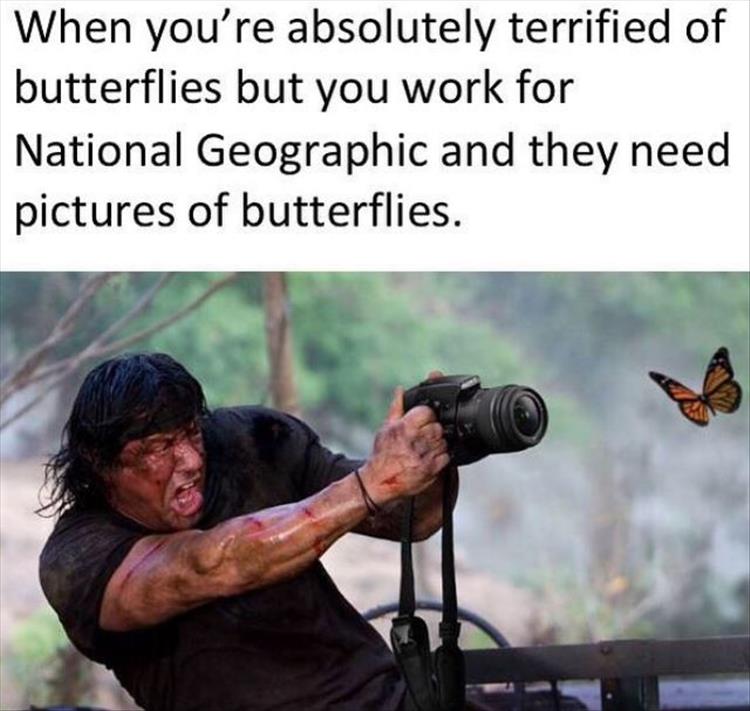 rambo canon - When you're absolutely terrified of butterflies but you work for National Geographic and they need pictures of butterflies.