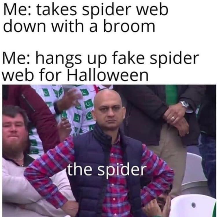 concerts cancelled schools cancelled be he here - Me takes spider web down with a broom Me hangs up fake spider web for Halloween G for the spider
