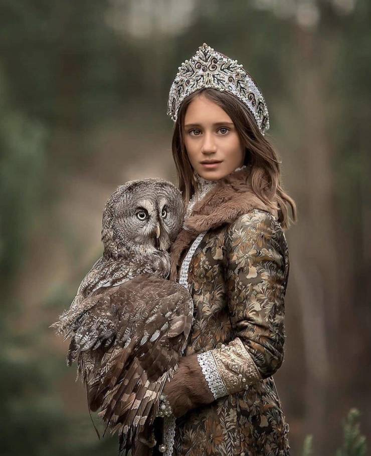 owl portrait photography