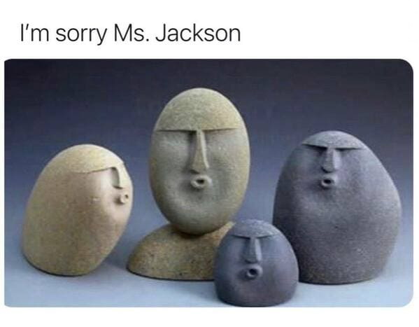 funny memes  - I'm sorry Ms. Jackson