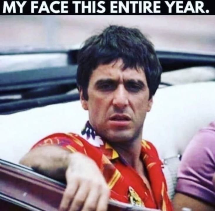 my face this entire year - My Face This Entire Year.