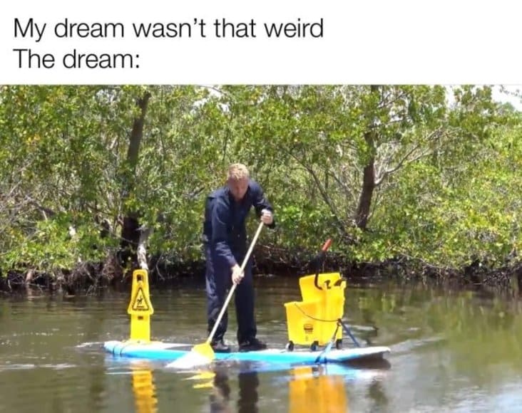 my dream wasn t that weird meme - My dream wasn't that weird The dream