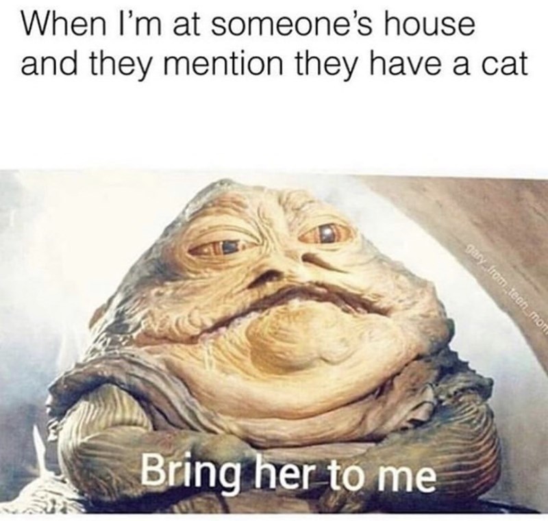 bring her to me cat meme - When I'm at someone's house and they mention they have a cat gary from teen_mont Bring her to me