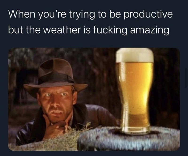 indiana jones - When you're trying to be productive but the weather is fucking amazing