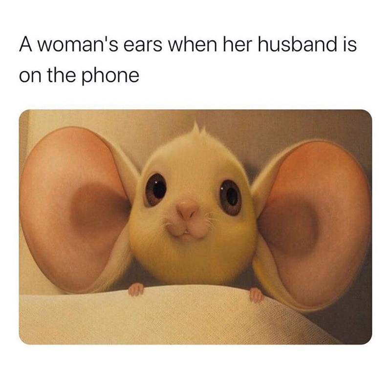 chisme meme - A woman's ears when her husband is on the phone
