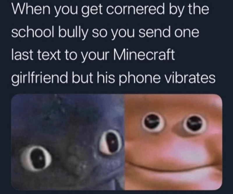 minecraft gf meme - When you get cornered by the school bully so you send one last text to your Minecraft girlfriend but his phone vibrates