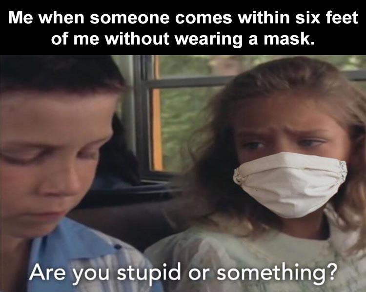 2020 july 26 memes - Me when someone comes within six feet of me without wearing a mask. Are you stupid or something?