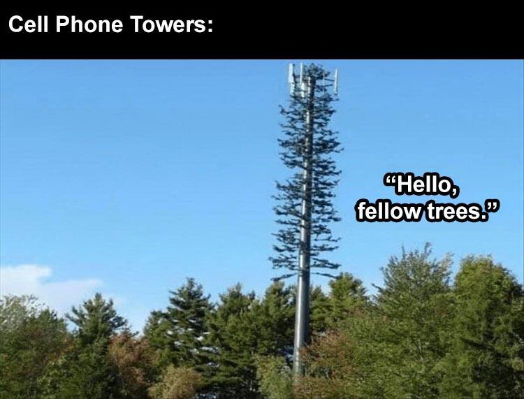 cell phone tower disguises - Cell Phone Towers "Hello, fellow trees.