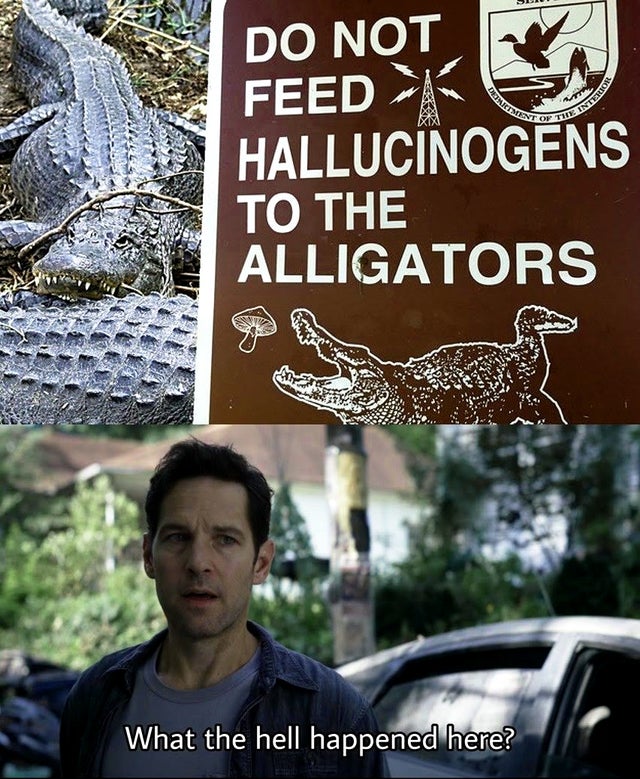 hell happened here meme - Donetment Of The Interior Do Not Feed >K Hallucinogens To The Alligators What the hell happened here?