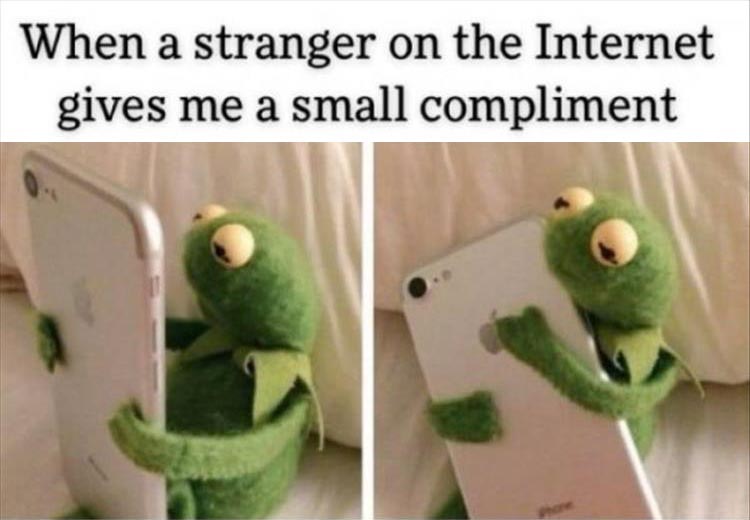 kermit the frog memes - When a stranger on the Internet gives me a small compliment