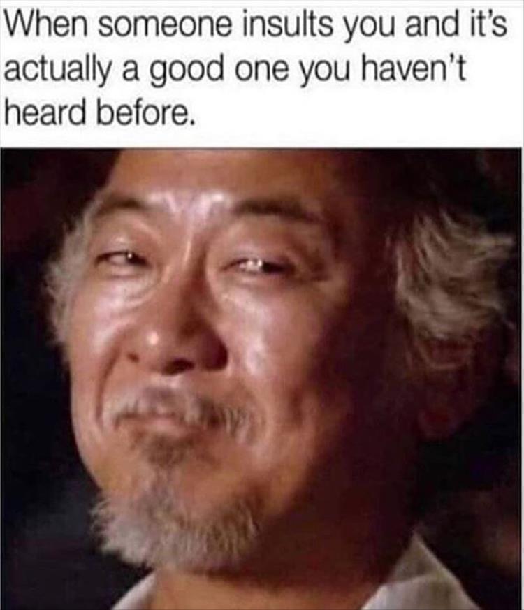 mr miyagi karate kid - When someone insults you and it's actually a good one you haven't heard before.