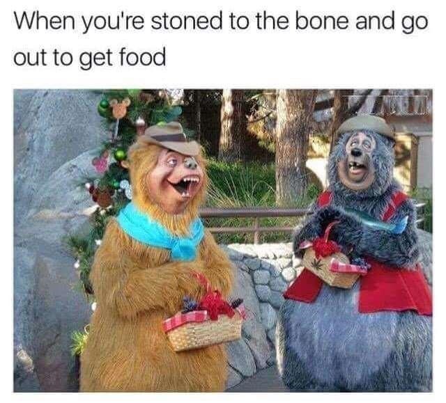 stoned to the bone bear - When you're stoned to the bone and go out to get food