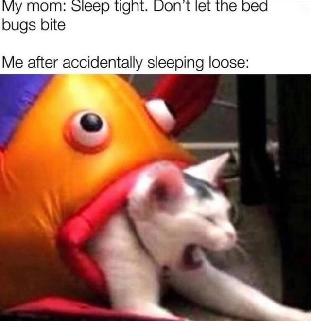 sleep loose meme - My mom Sleep tight. Don't let the bed bugs bite Me after accidentally sleeping loose
