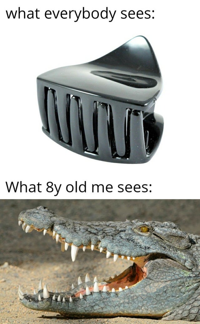 Crocodiles - what everybody sees What 8y old me sees