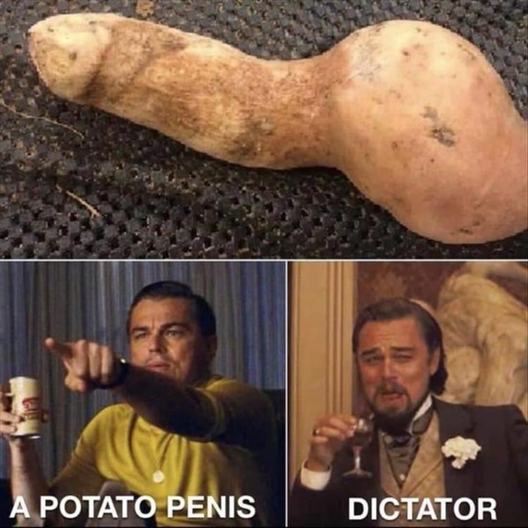 leonardo dicaprio django meme laughing - A Potato Penis Dictator