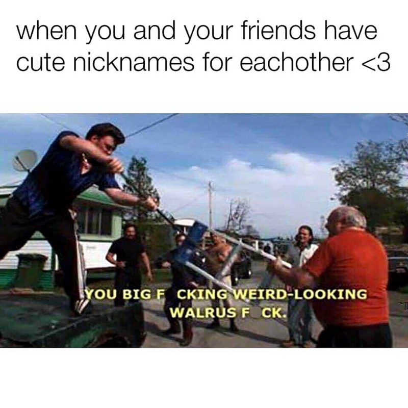trailer park boys walrus meme - when you and your friends have cute nicknames for eachother