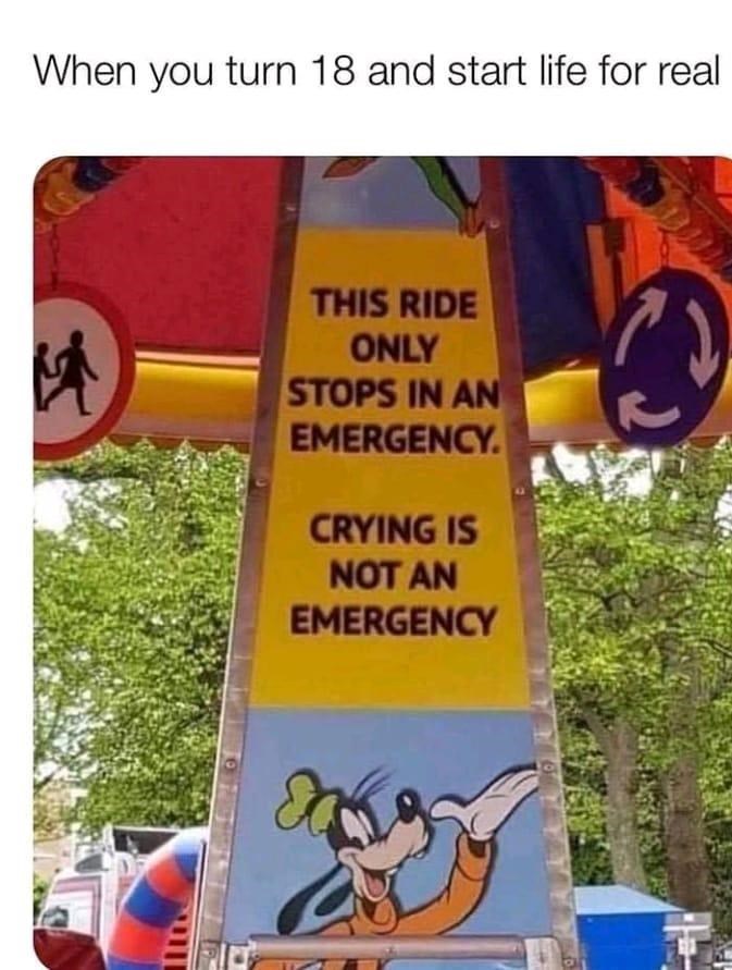ride only stops in an emergency crying - When you turn 18 and start life for real This Ride Only Stops In An Emergency. Crying Is Not An Emergency
