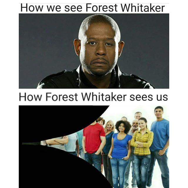 forest whitaker eye jokes - How we see Forest Whitaker How Forest Whitaker sees us