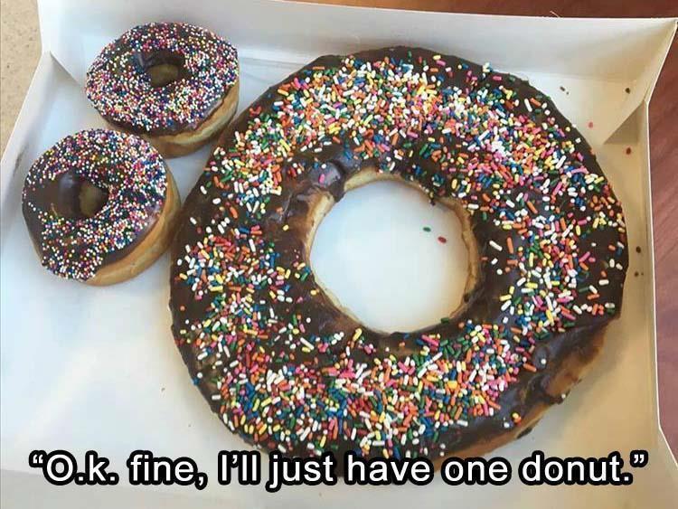 lol cats - "O.k. fine, just have one donut."