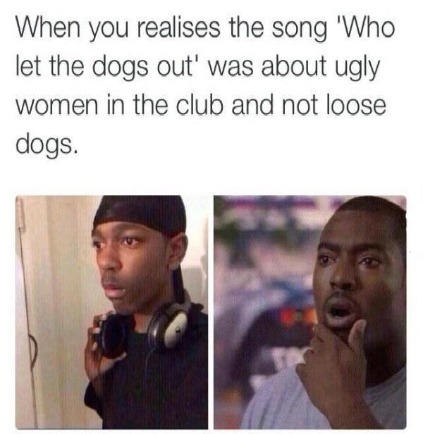 funny mean memes - When you realises the song 'Who let the dogs out' was about ugly women in the club and not loose dogs.