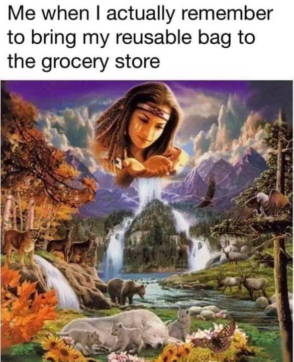 reusable bag meme - Me when I actually remember to bring my reusable bag to the grocery store